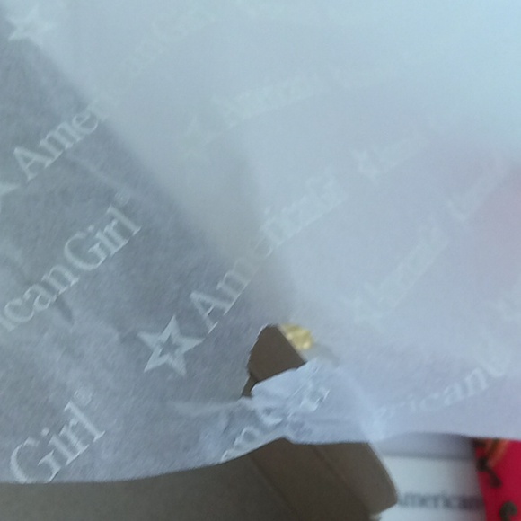 American Girl Diwali Outfit - Picture 16 of 16